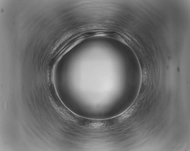 X0000054450158200507291325