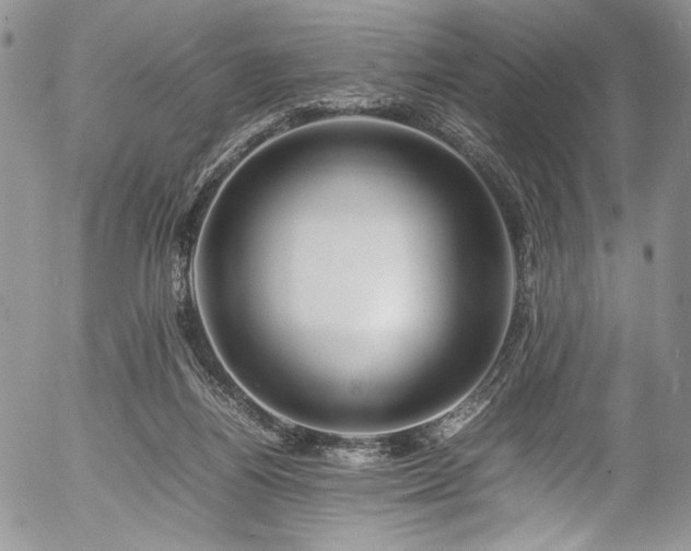 X0000054450164200507291325