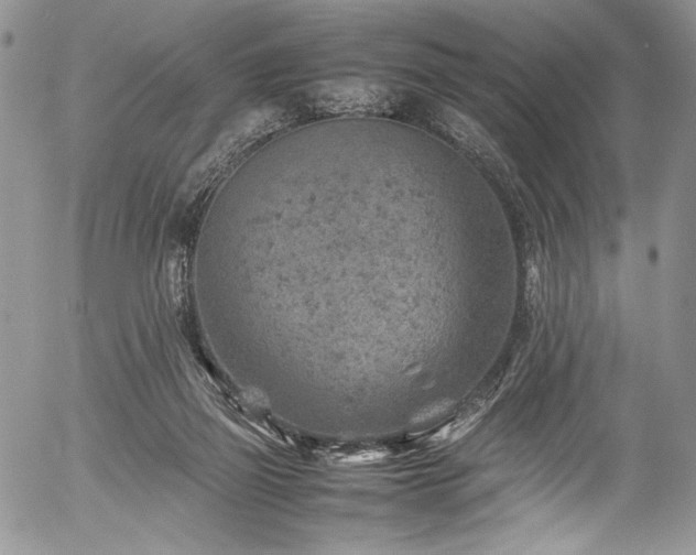 X0000054450165200507291325
