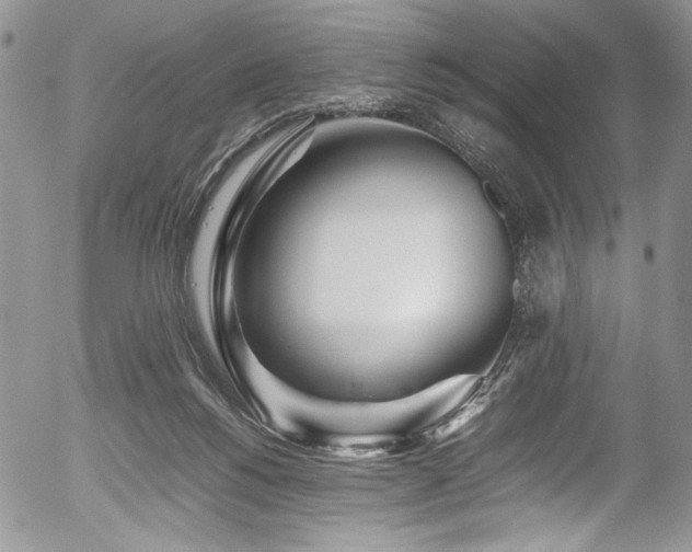 X0000054450168200507291325
