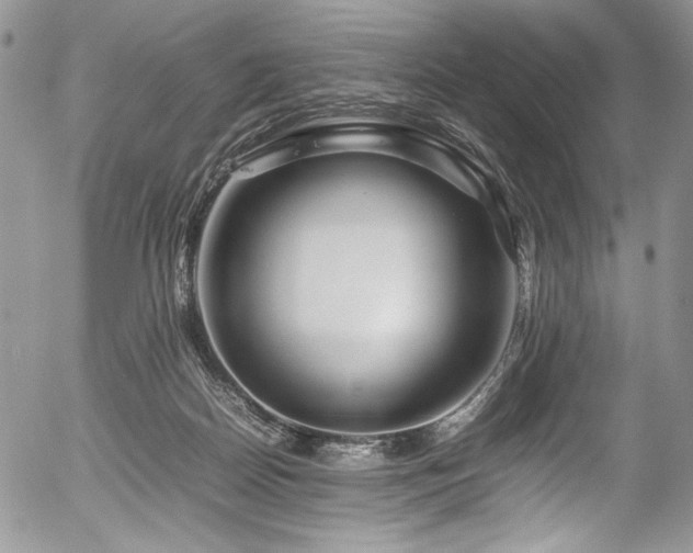 X0000054450170200507291326