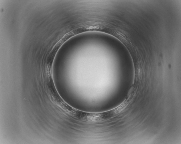 X0000054450172200507291326