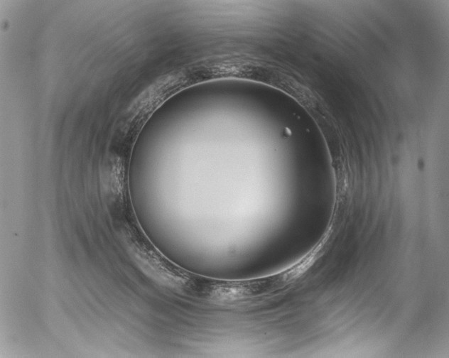 X0000054450174200507291326