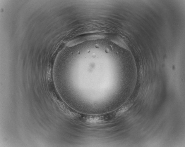 X0000054450177200507291326