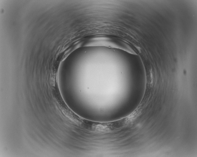 X0000054450180200507291326