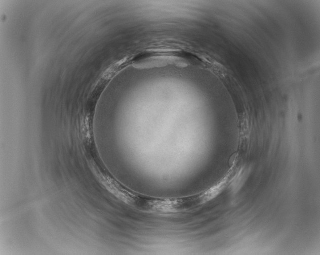 X0000054450182200507291326