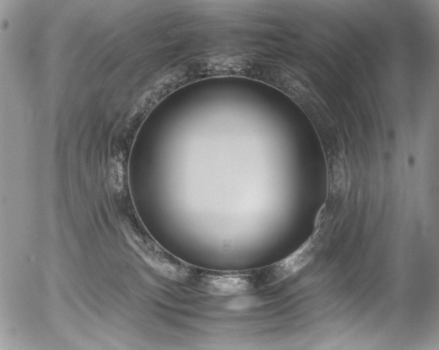 X0000054450183200507291326