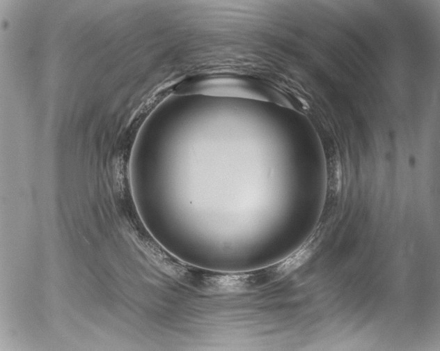 X0000054450184200507291326