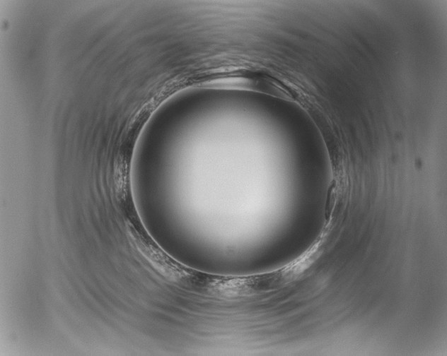X0000054450186200507291326