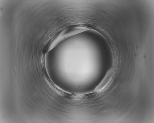 X0000054450192200507291326