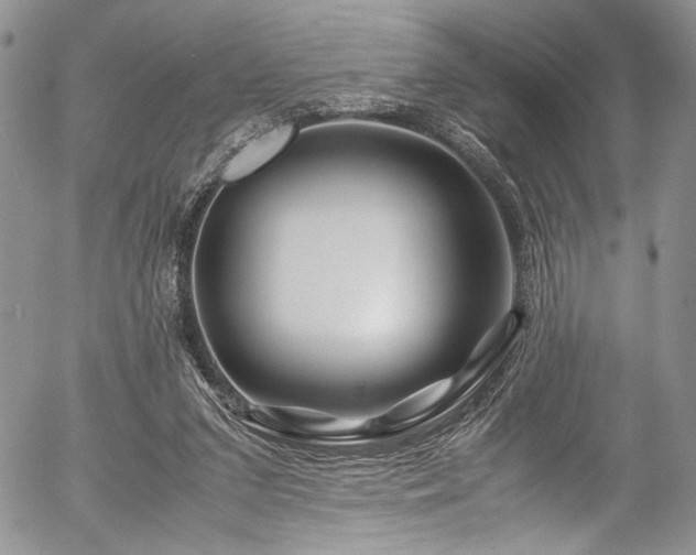 X0000054450207200507291325
