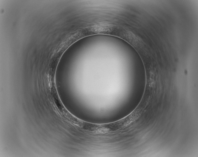 X0000054450210200507291325
