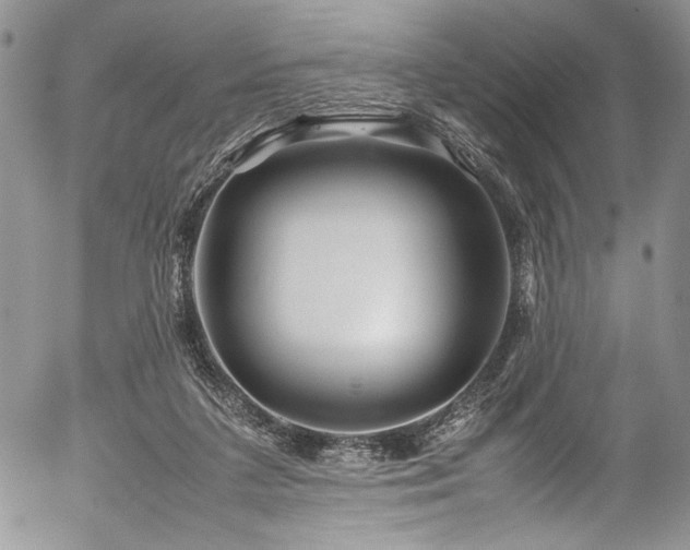 X0000054450211200507291325