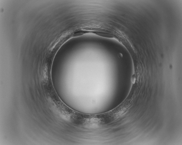 X0000054450212200507291325