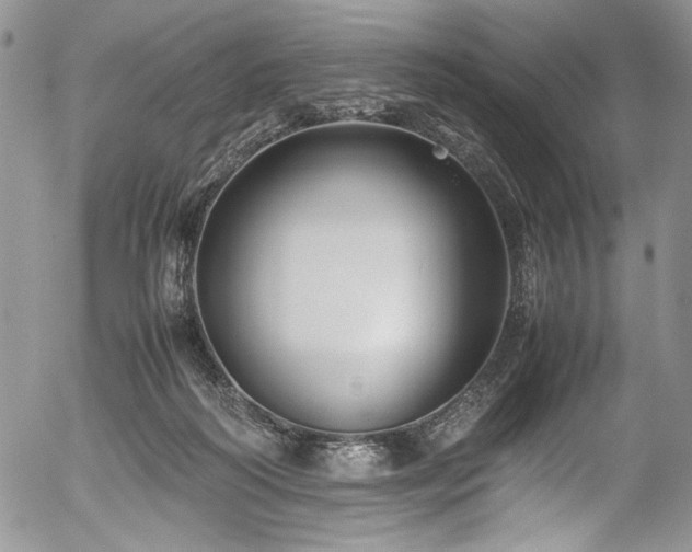 X0000054450218200507291325