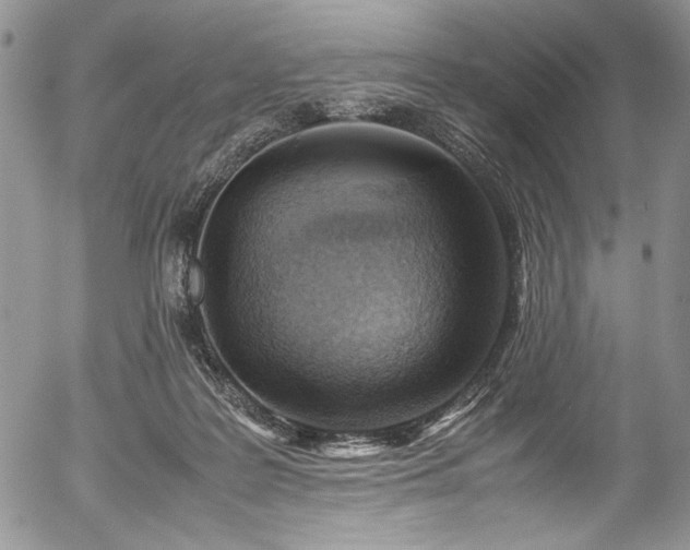 X0000054450219200507291325