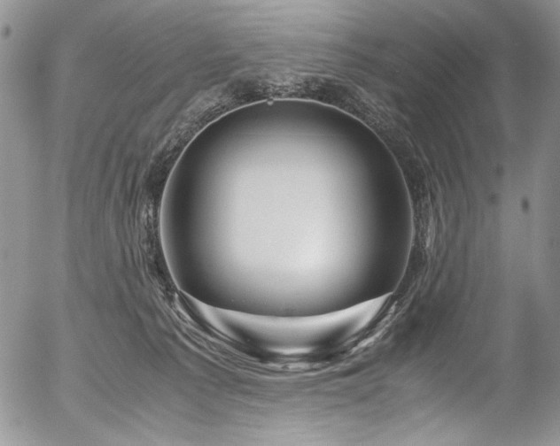 X0000054450225200507291325