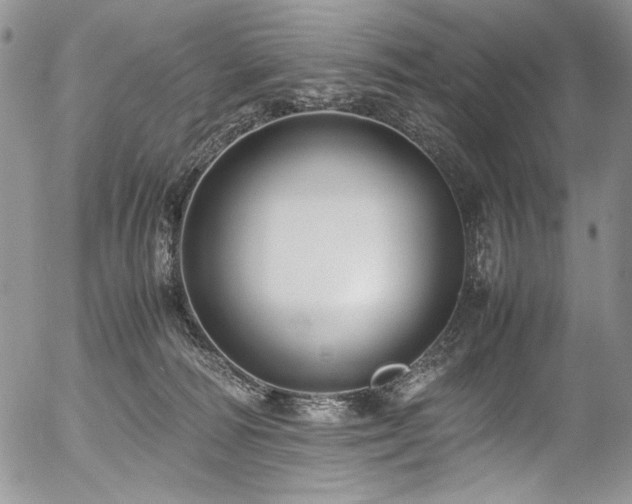 X0000054450226200507291325