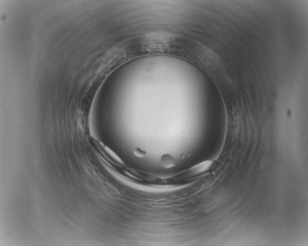 X0000054450228200507291324