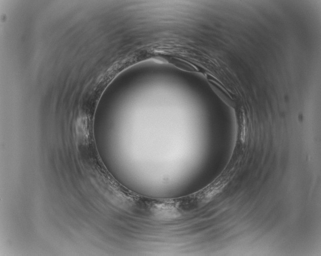 X0000054450232200507291324