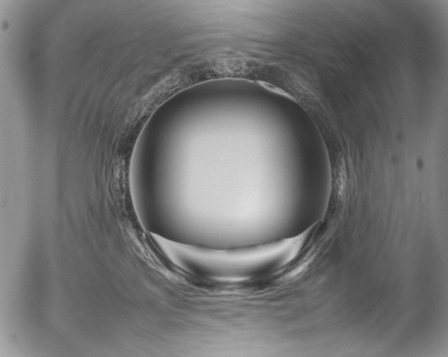 X0000054450233200507291324