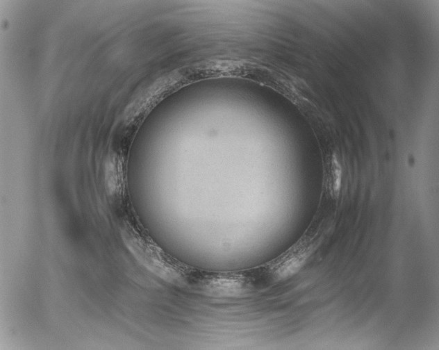 X0000054450236200507291324