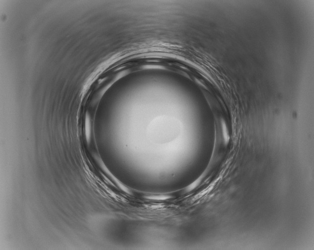 X0000054450244200507291324