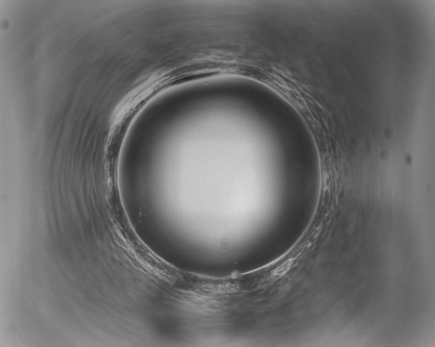 X0000054450245200507291324