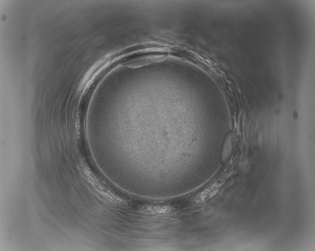 X0000054450247200507291324
