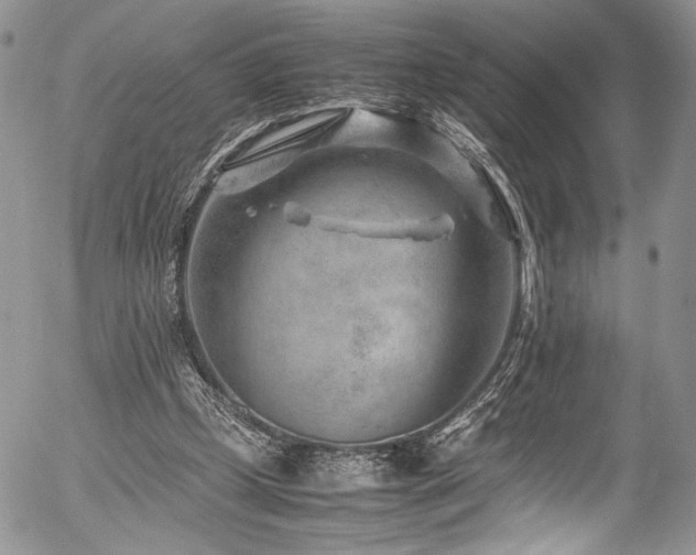 X0000054450249200507291324