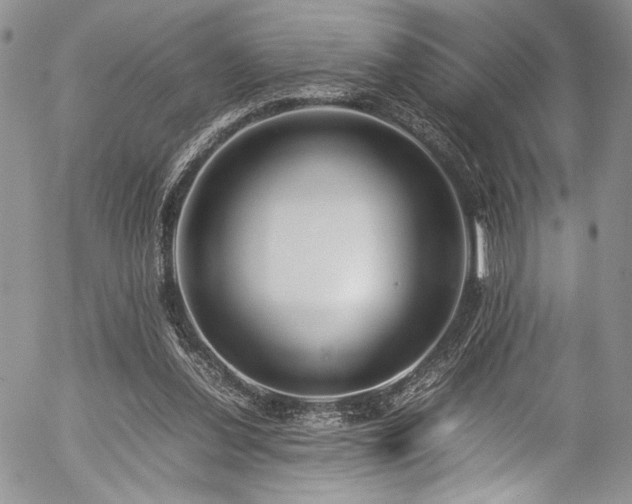 X0000054450252200507291324