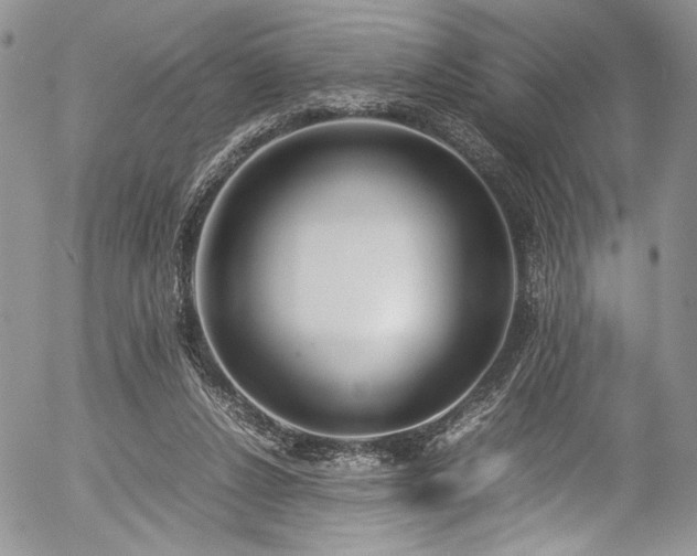 X0000054450256200507291324