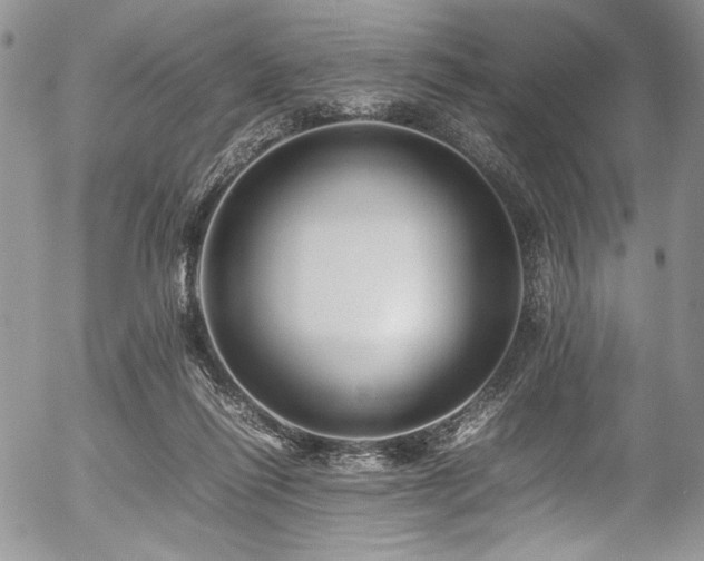 X0000054450262200507291324