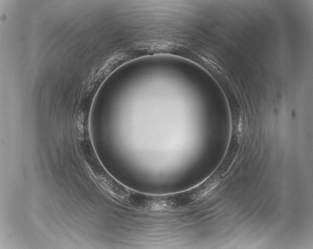 X0000054450264200507291324