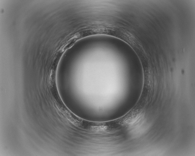 X0000054450266200507291324