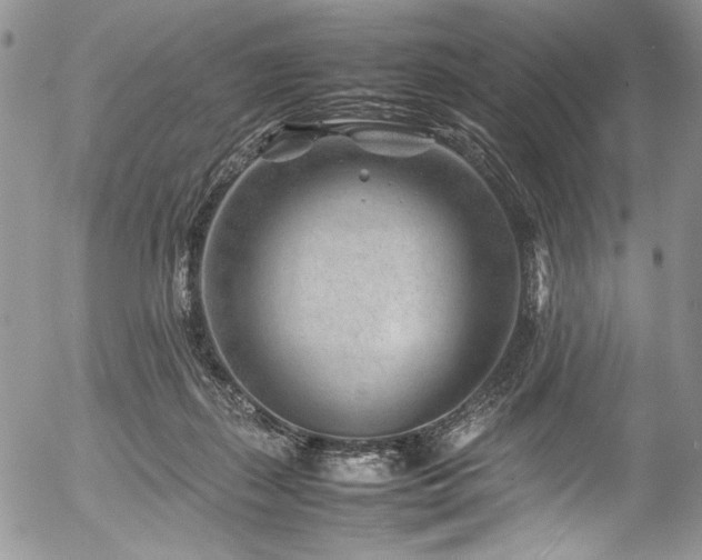 X0000054450267200507291324