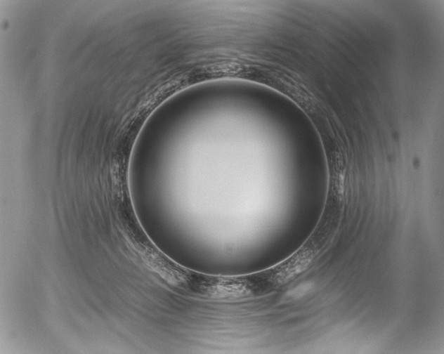 X0000054450270200507291324
