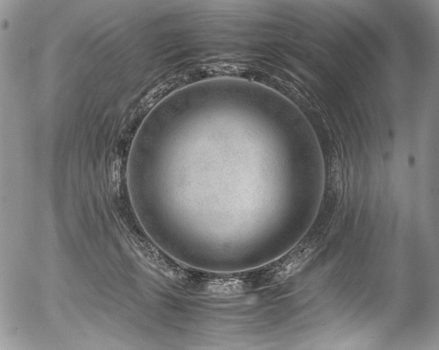 X0000054450271200507291324