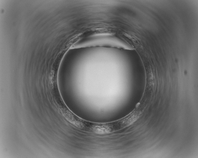 X0000054450275200507291324