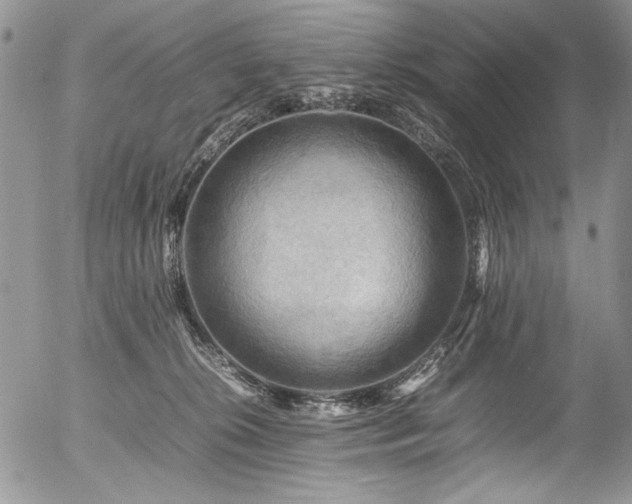 X0000054450276200507291324