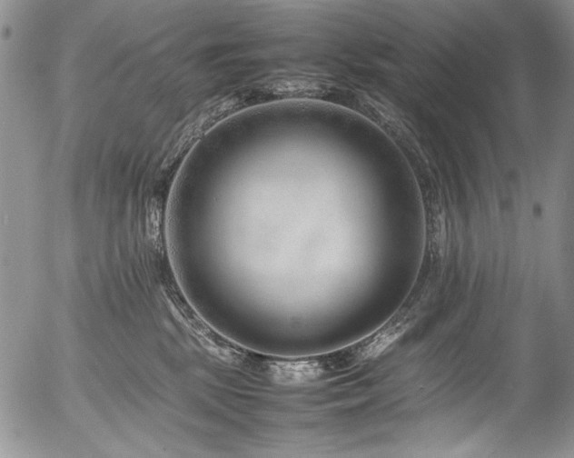 X0000054450281200507291324