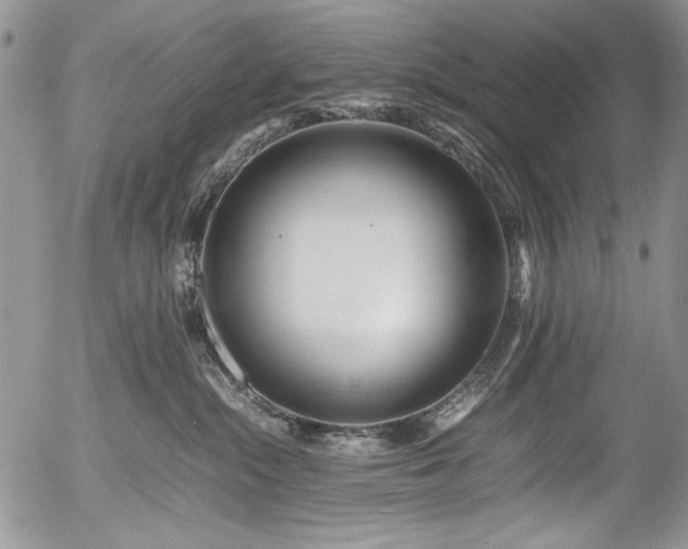 X0000054450284200507291324