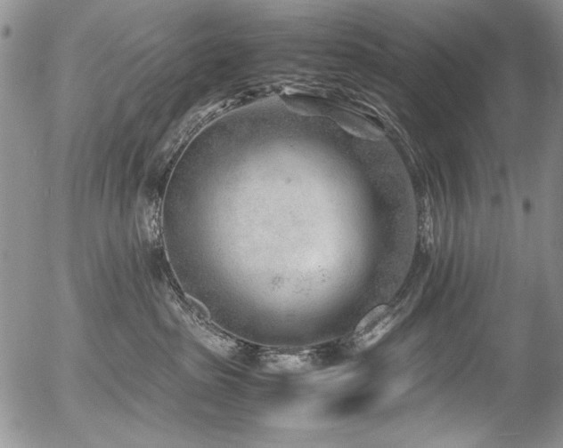 X0000054450285200507291324