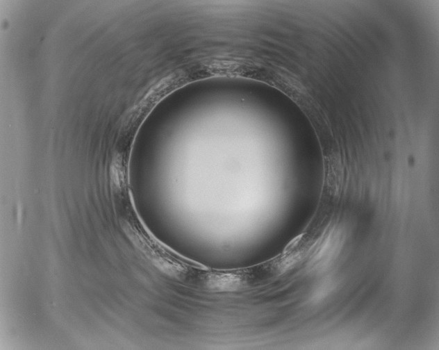 X0000054450287200507291324