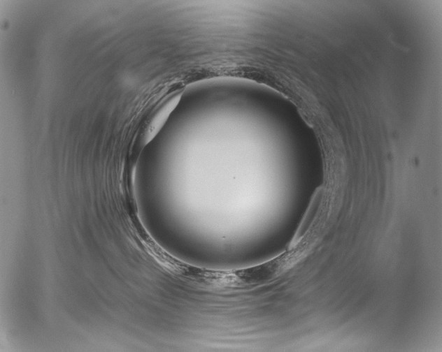 X0000054450288200507291324