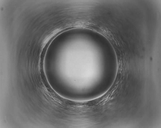 X0000054450292200507291323