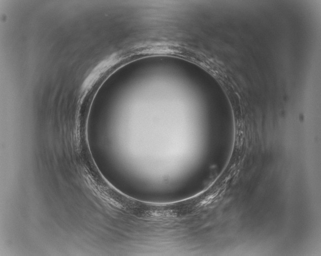 X0000054450296200507291323