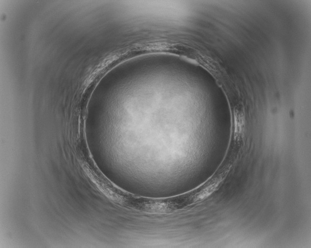 X0000054450301200507291323