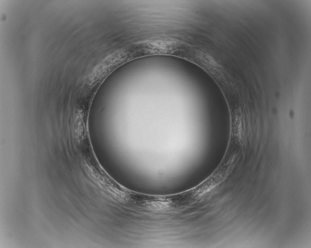 X0000054450318200507291323