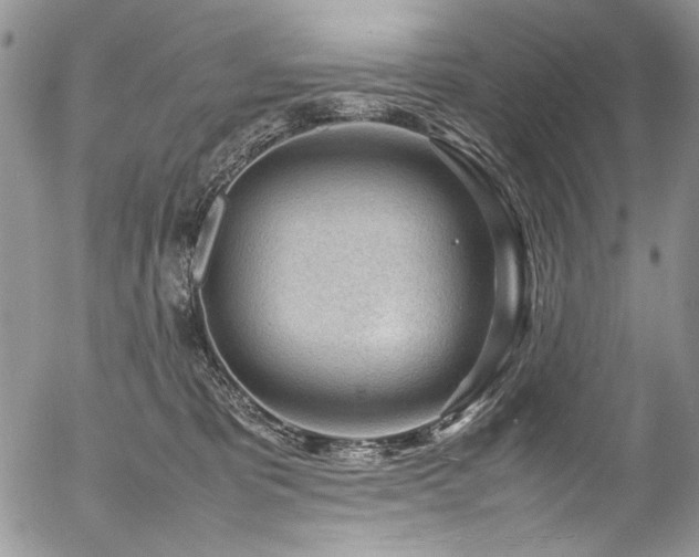 X0000054450325200507291323